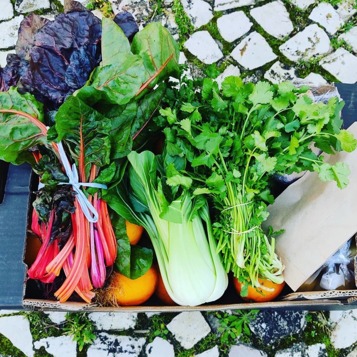 155790454_1961916803948071_8793160442871223790_o.j