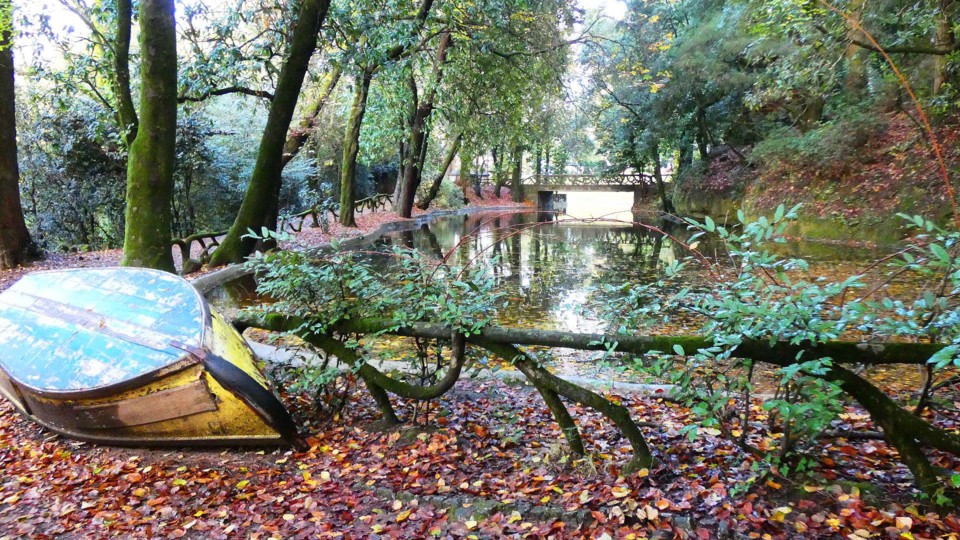 124168228_10218781106613853_3352251890846311714_o.