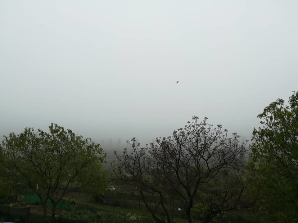 92137182_10157296836893565_8649973703607582720_o.j 92137182_10157296836893565_8649973703607582720_o.j