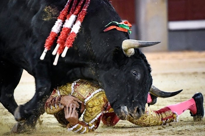 Colhida de Christian Parejo-Madrid 3.08.2023.jpg