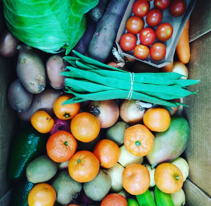 587536472_18513835717066958_5900387675251988427_n.