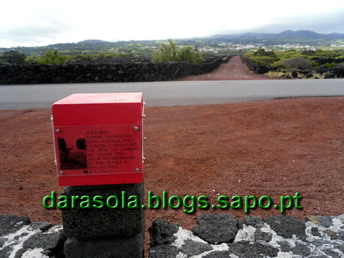 azores_pico_criacao_velha_04.JPG