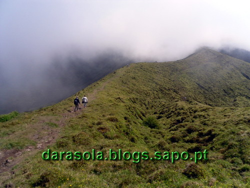Azores_Faial_caldeirao_16.JPG