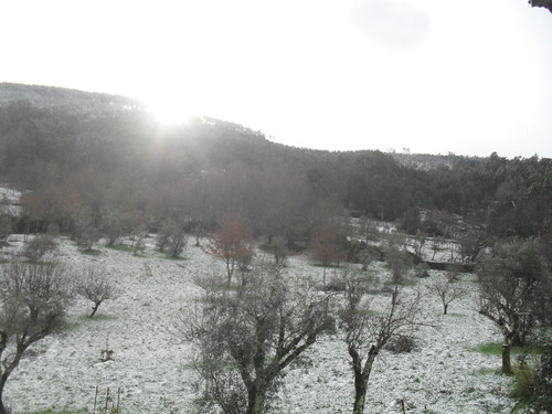 neve fev 3016 010.JPG