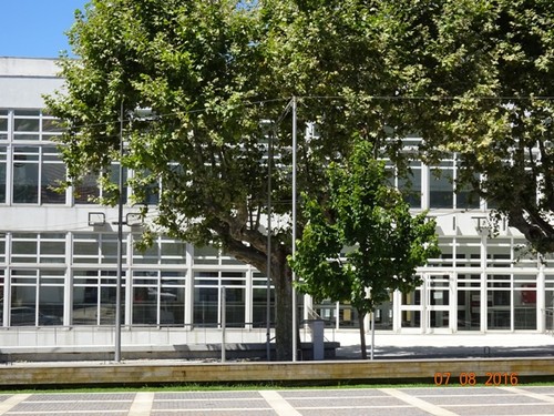 Agosto - 2016 030.jpg