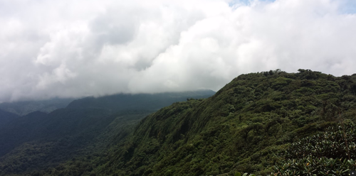 Screen Shot 2016-07-01 at 15.21.13.png