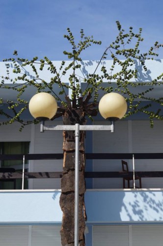 22228666_10156721588813696_7318991507316674249_n.j