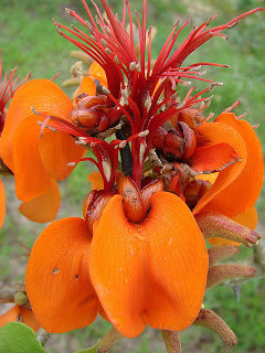 MAR VERMELHO 06.jpg