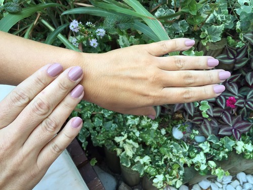 IMG_1237.JPG IMG_1237.JPG