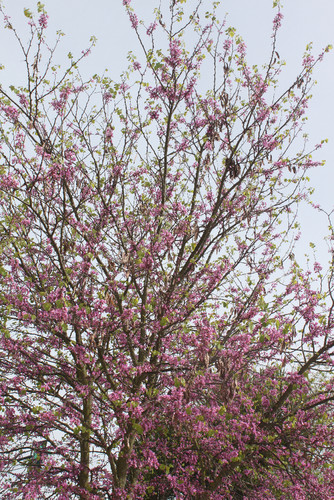 IMG_9938.jpg IMG_9938.jpg