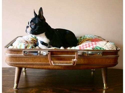 18396861_Dtl83.jpeg 18396861_Dtl83.jpeg