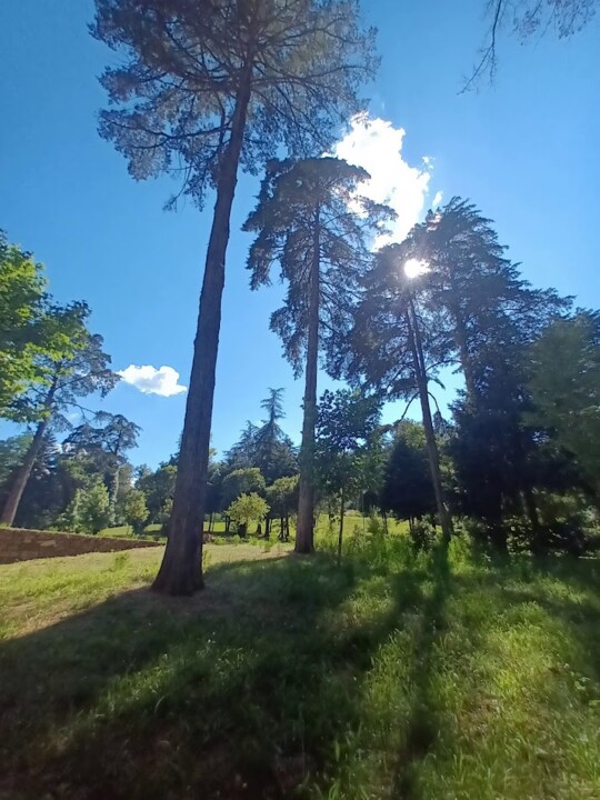 Não me canso disto Vidago3.jpg