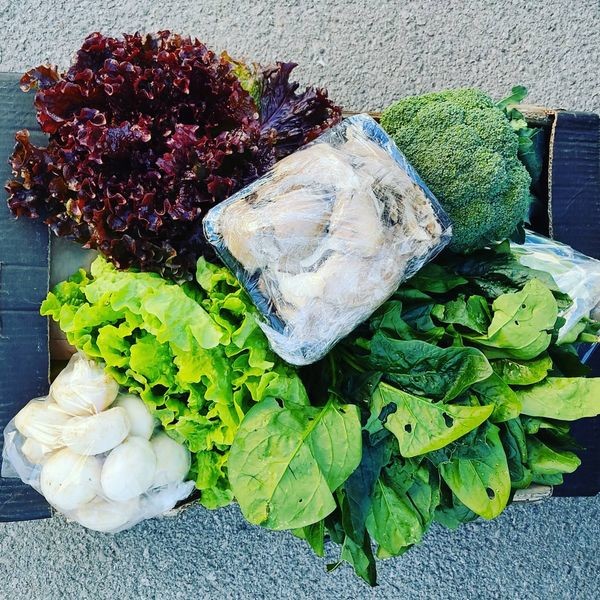 139826261_1928237677315984_8780702574653911133_o.j