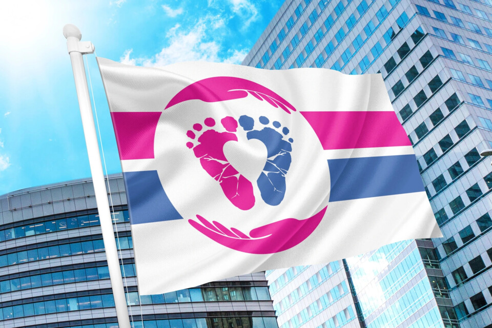 pro-life-flag.webp