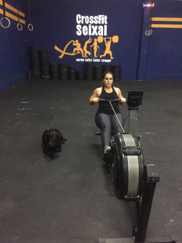 IMG_6056.jpeg IMG_6056.jpeg