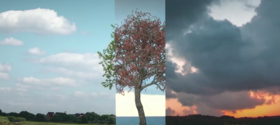 2021-04-29.png 2021-04-29.png