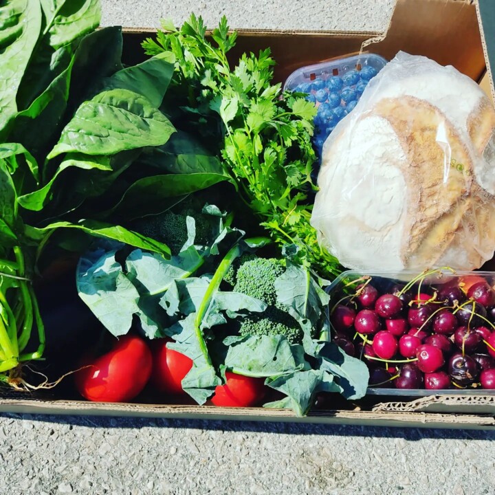 291990709_2350182248454856_2165007091913372285_n.j