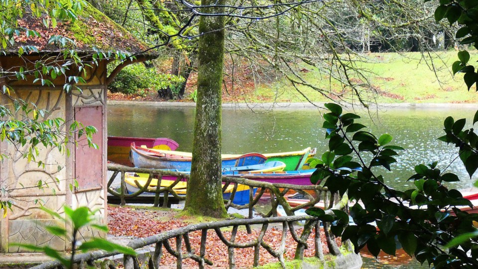 124478224_10218781115014063_1915691441152073173_o.