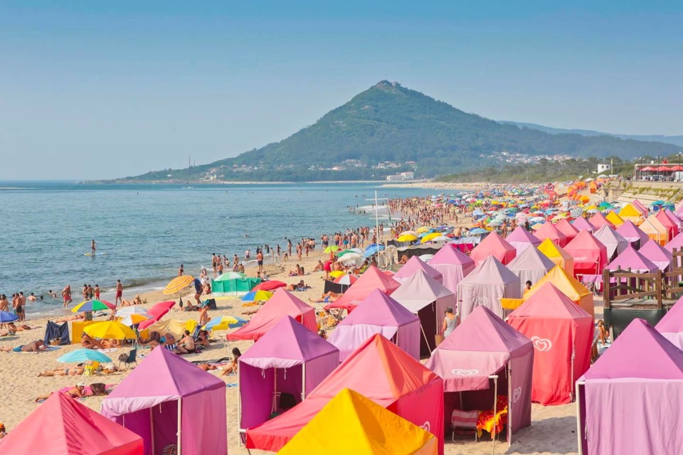 240668174_2035187709965855_6075153808727735417_n.j