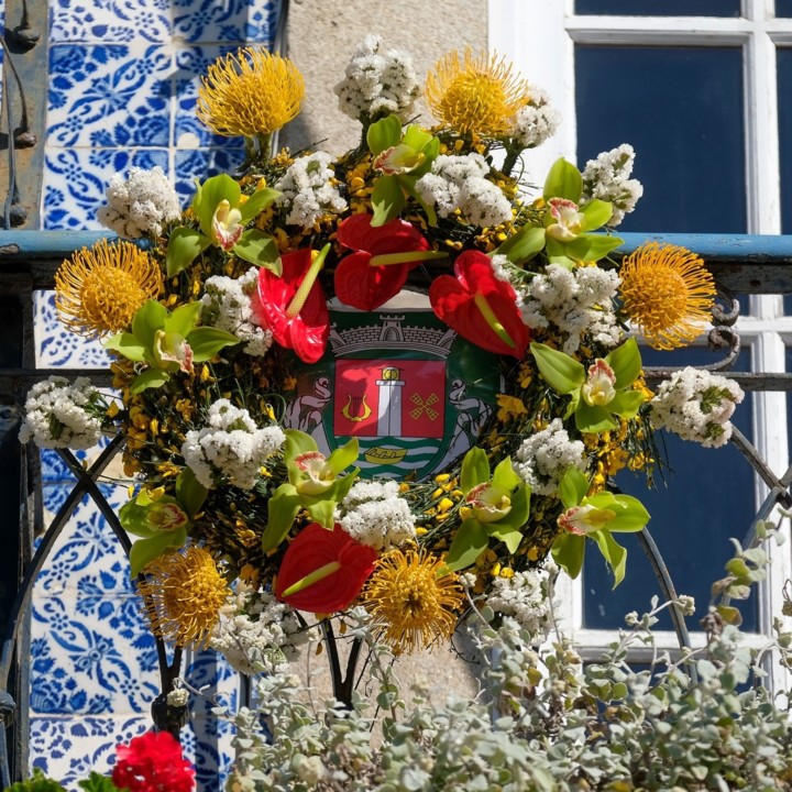 180560949_4217147031650013_293848227166092253_n.jp