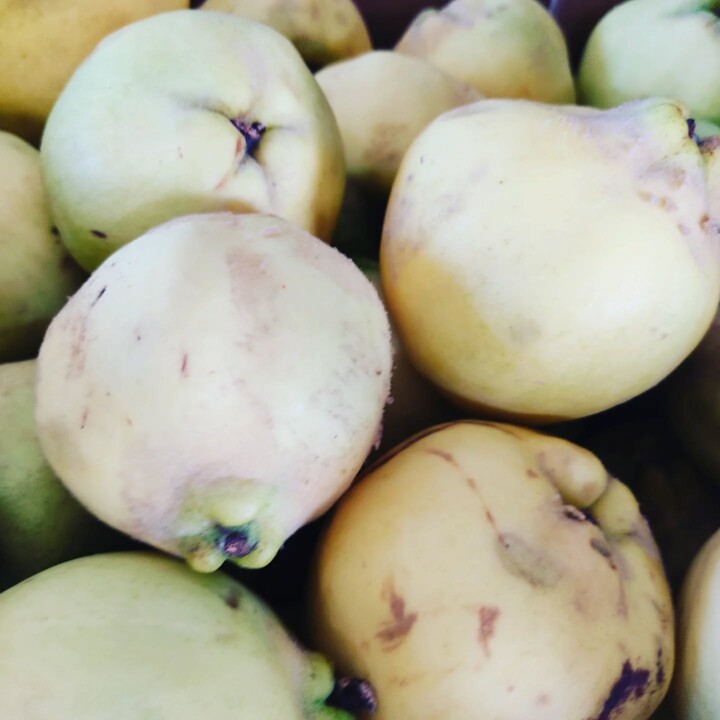 563965523_18504211570066958_5124225828075821109_n.