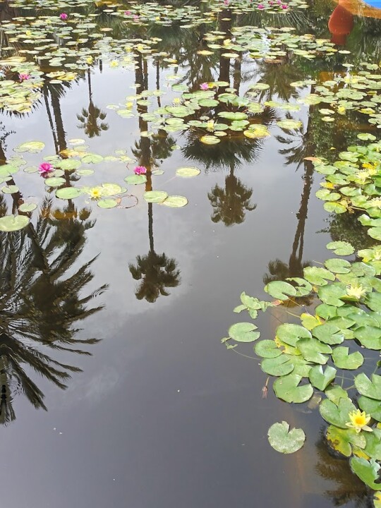 Não me canso disto_Jardim_b.jpg