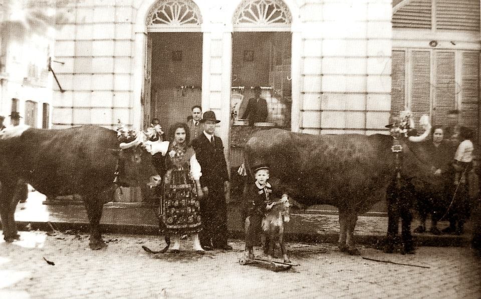 157- animais no mercado.jpg