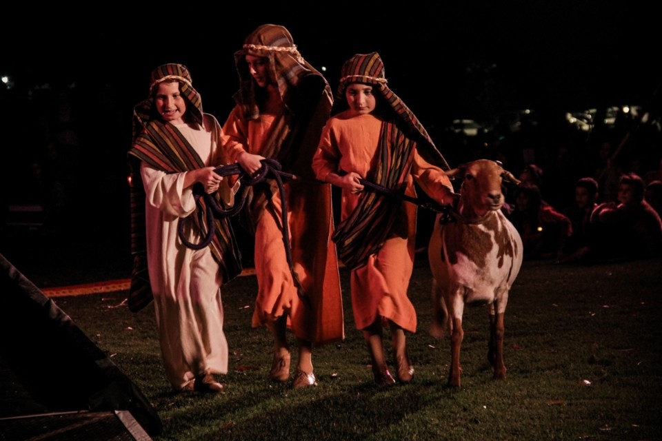 Burswood carols in the park-57 (1024x683).jpg