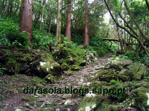 azores_flores_alagoinha_17.JPG