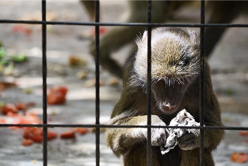 IMG_9536.PNG IMG_9536.PNG