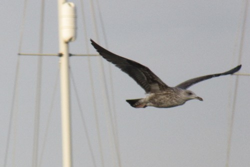 2015-12-19 056.jpg 2015-12-19 056.jpg