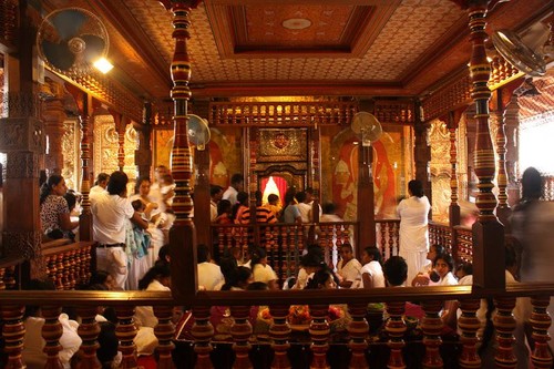 Dente de Buda, adoração