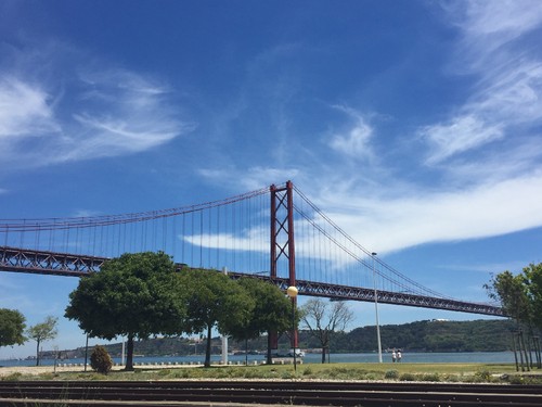 IMG_4687.JPG IMG_4687.JPG