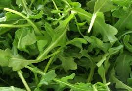 rucula.png rucula.png