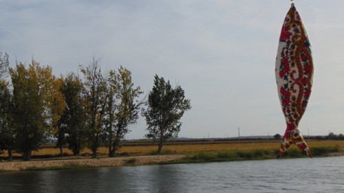 22104561_1675641772460192_3440126624726537992_o.jp