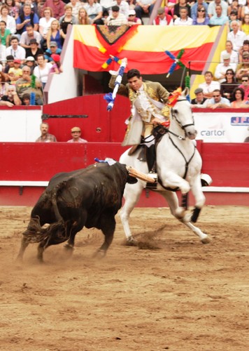 Uma das sortes iniciais para Tiago Pamplona...