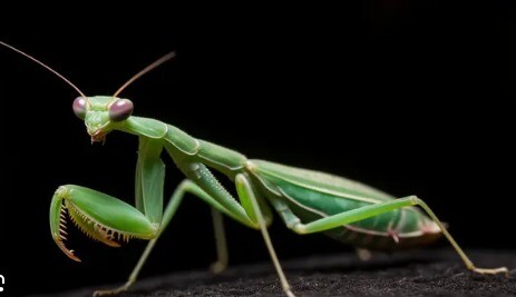 WhatsApp Image 2026-02-14 at 07.35.51.jpeg