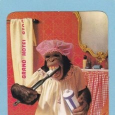 49476430.jpg 49476430.jpg