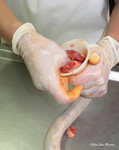 Enchimento chouriços 1.jpg