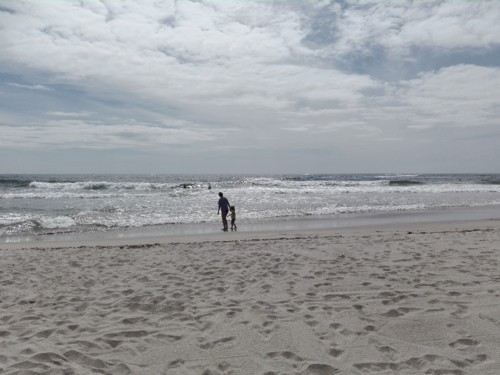 IMG_20180727_160120.jpg IMG_20180727_160120.jpg