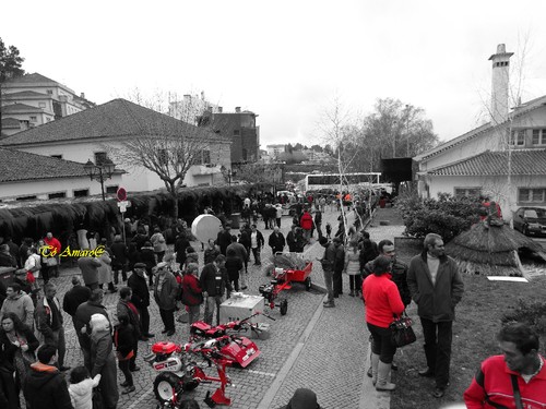 Feira do Queijo Em Seia !!! 227.jpg