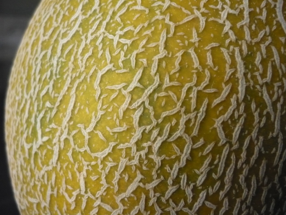 Planeta detalhes 01.JPG