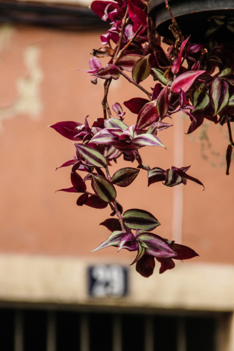 rua da silva 11.jpg rua da silva 11.jpg