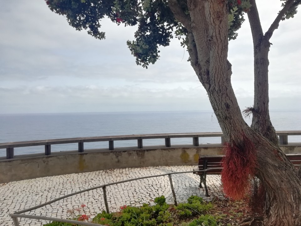 IMG_20200706_121411.jpg IMG_20200706_121411.jpg