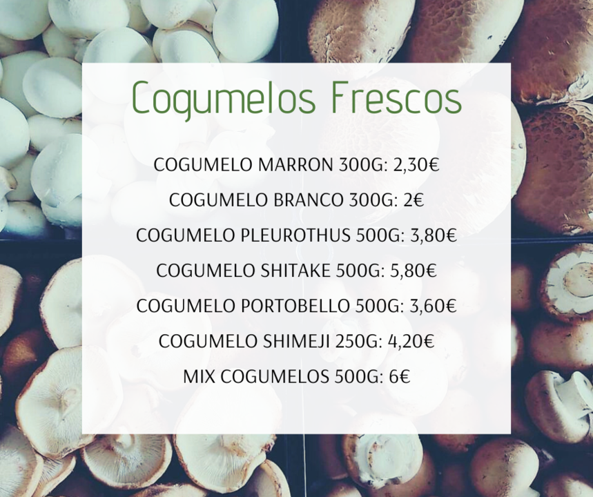 Cogumelos20e21Fev.png Cogumelos20e21Fev.png