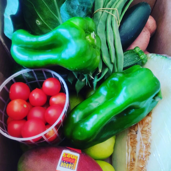 347599052_662327039071069_1288759198916269683_n.jp