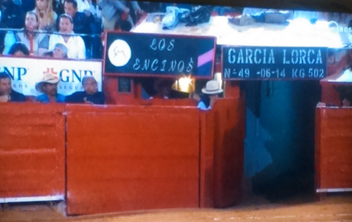 Praça México - Temporada Grande -5.'2.2019.png