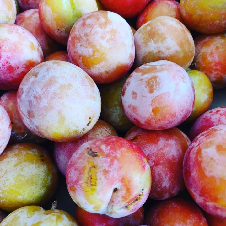 308961553_2418993428240404_213845021025519551_n.jp