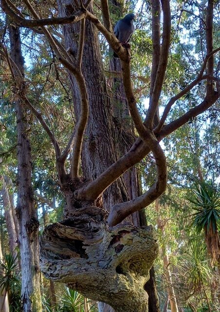 336905749_779096653638723_5578671549590262672_n.jp