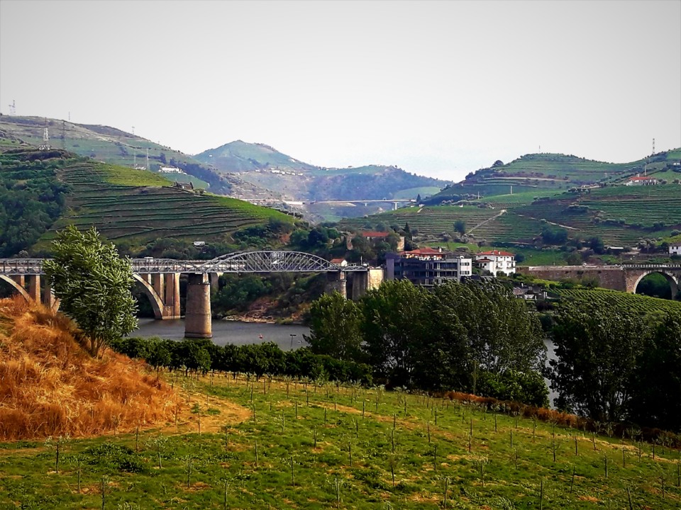 PESO REGUA VISTAS.jpg